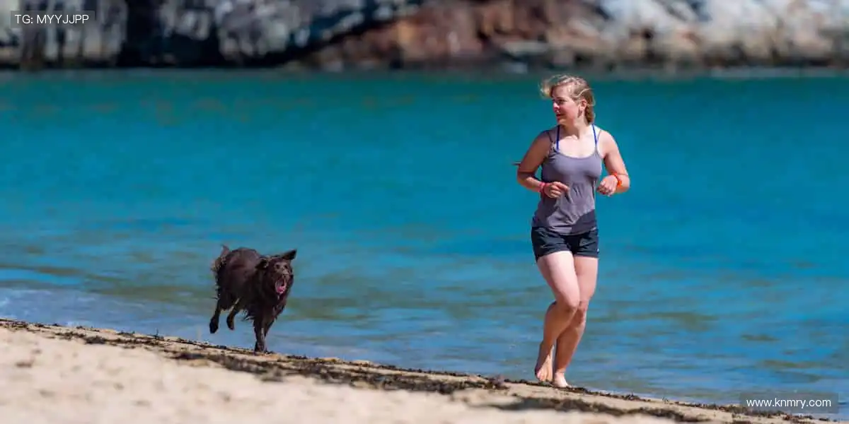 🎙️深度解读，冠军之路！🏆揭秘赛场背后的热血与汗水！